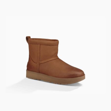 UGG Classic Mini Leather Brown Waterproof Boots for Women (TAME46390)